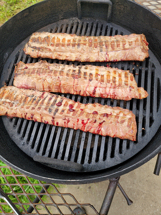 Baby Backs on Grill 9-4-22.gif